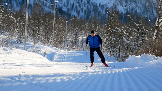 Båter langs Bergens brygge