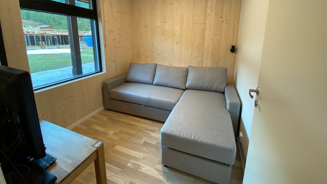 Grå sovesofa