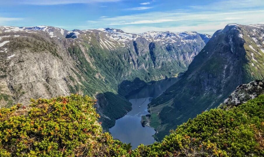 Båter langs Bergens brygge